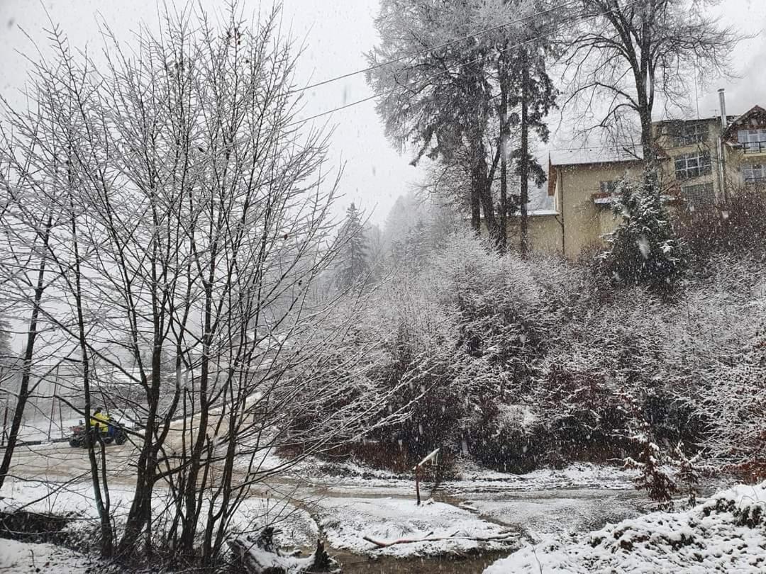 7Soapte Timișu de Jos Extérieur photo
