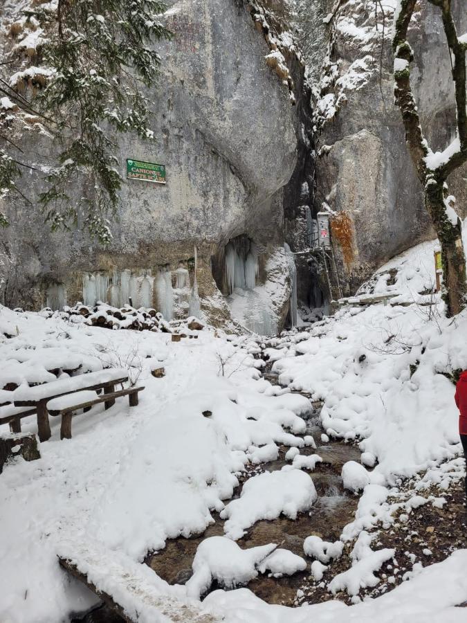7Soapte Timișu de Jos Extérieur photo